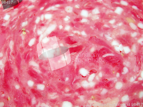 Image of Salami texture