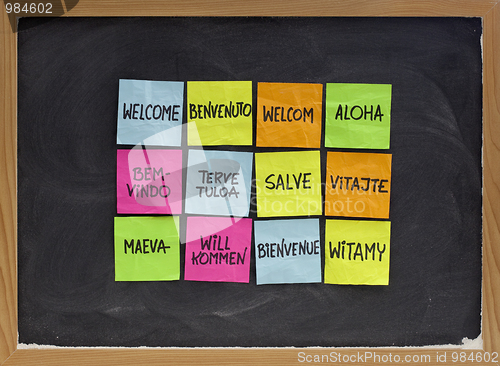 Image of welcome in a dozen of languages