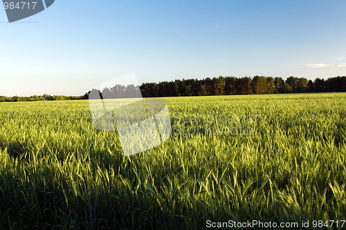 Image of agriculture