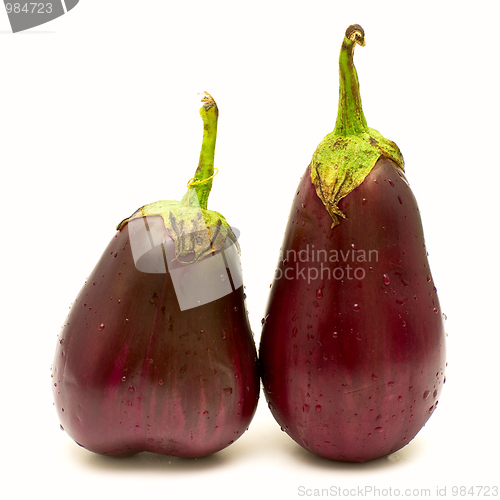 Image of Purple eggplants