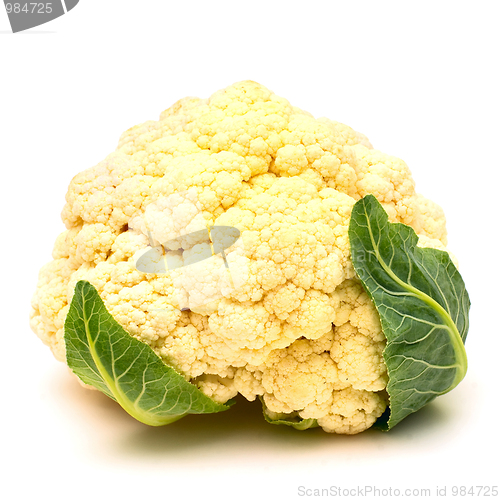 Image of Raw cauliflower