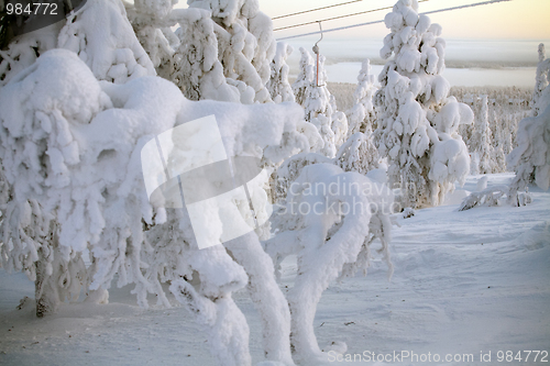 Image of rope tow