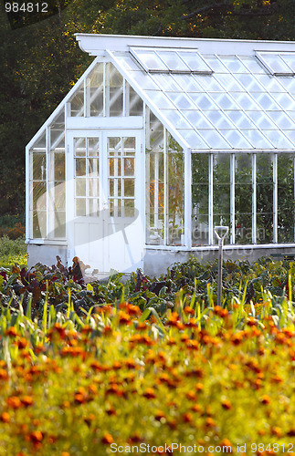 Image of large greenhouse