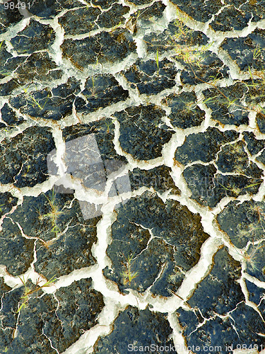 Image of Cracked soil