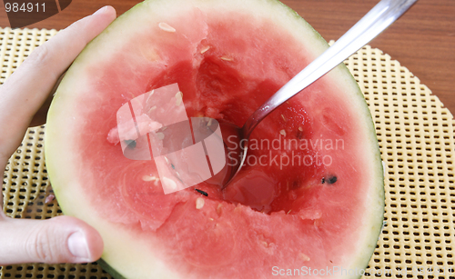 Image of Watermelon