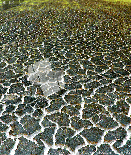 Image of Dry field