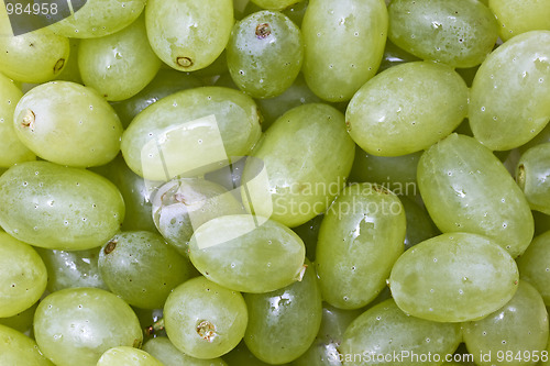 Image of Fresh green grapes background