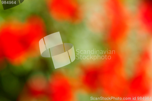 Image of Abstract green and red blurred background