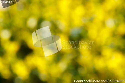 Image of Abstract green and yellow blurred background