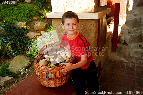 Image of Small boy, mushroom picker