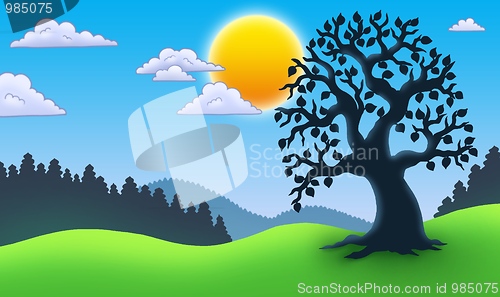 Image of Leafy tree silhouette in landscape