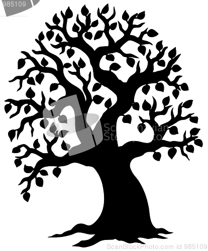 Image of Big leafy tree silhouette