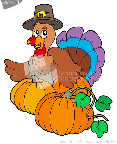 Image of Thanksgiving turkey with pumpkins