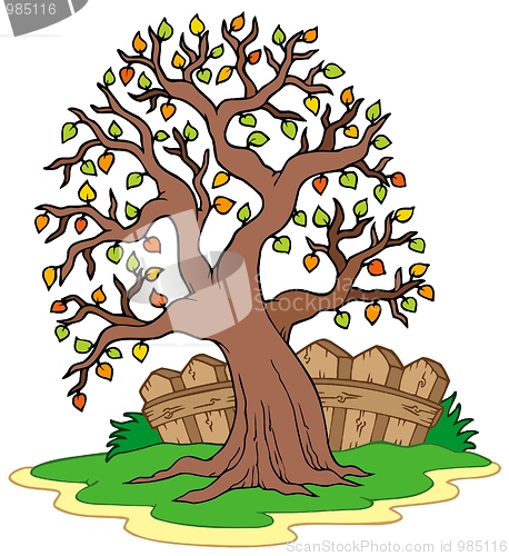 Image of Leafy tree with fence