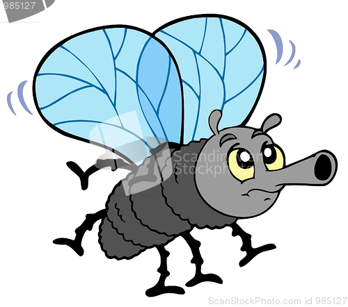 Image of Cartoon fly