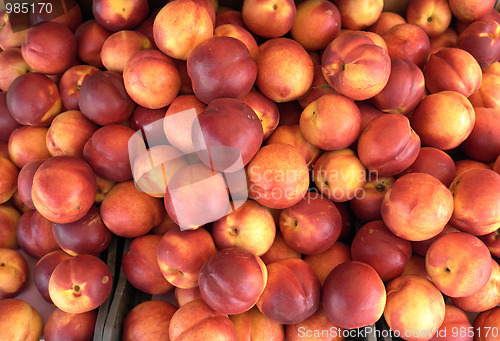 Image of Ripe nectarines