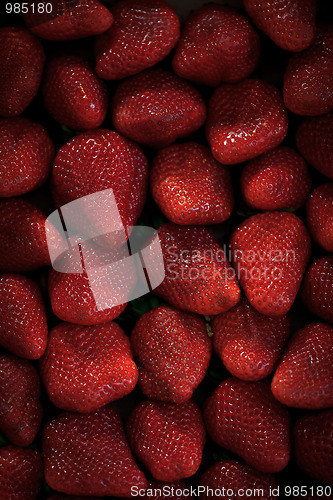 Image of Low-key strawberries