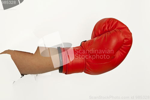 Image of Box glove