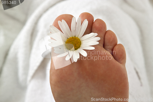 Image of Pedicure