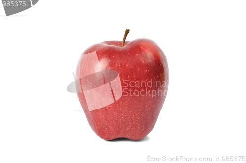 Image of Red Apple