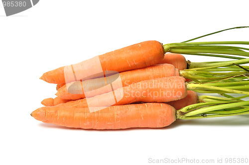 Image of Carrots on White