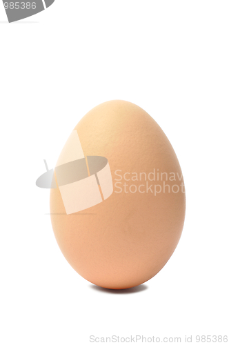 Image of Eggs