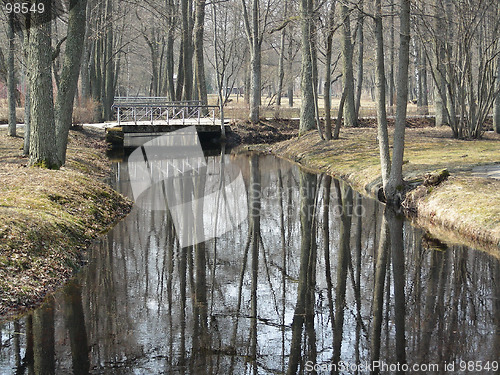 Image of bridge in park