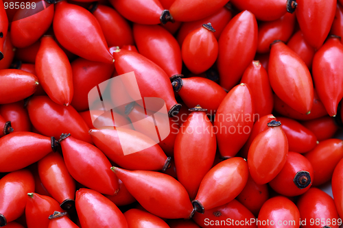 Image of rose hip background