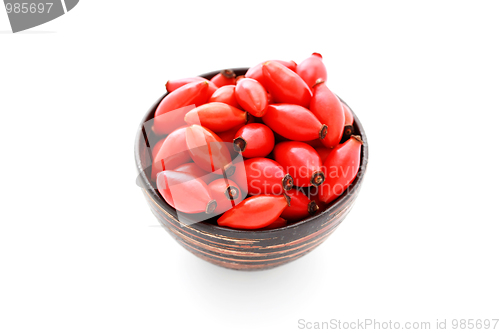 Image of rose hips