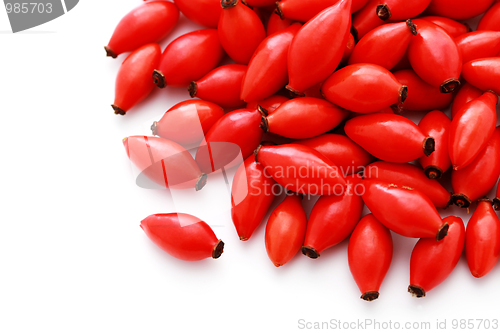 Image of rose hips