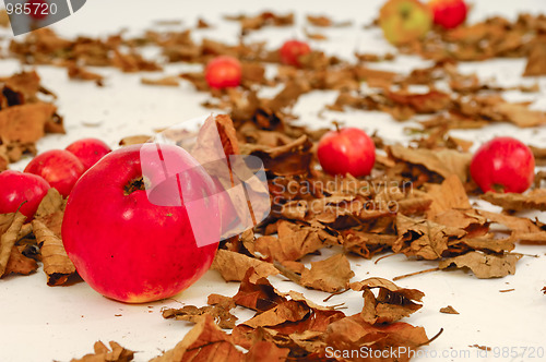 Image of Red apples