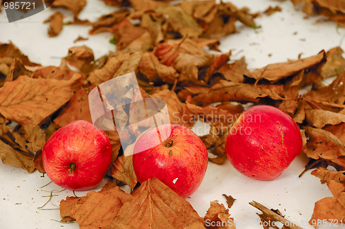 Image of Red apples