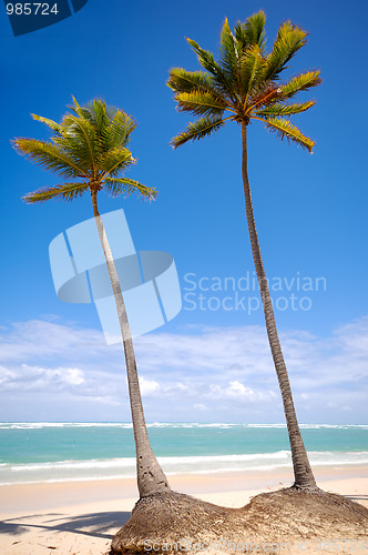 Image of Exotic beach