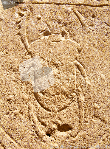 Image of bas-relief of scarab beetle