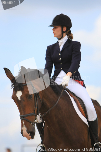 Image of  Open Equestrian Cup