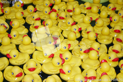Image of Rubber Ducks in Water