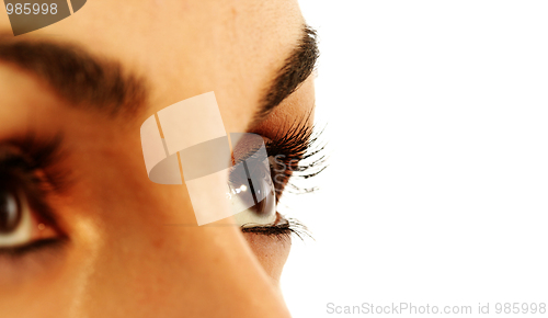 Image of Brown eye