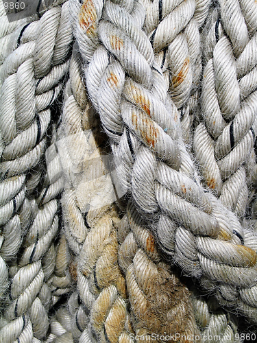 Image of Rope Macro