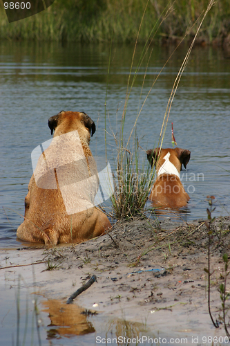 Image of Cooling Off