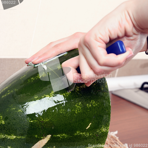 Image of Watermelon