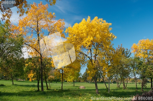 Image of Autumn