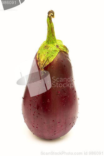 Image of Shiny eggplant