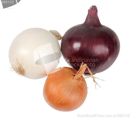 Image of Only three fresh onion