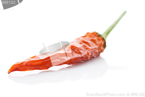 Image of Red Hot Chili Pepper