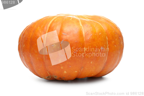 Image of Orange pumpkin 