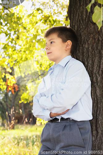 Image of Confident boy at tree