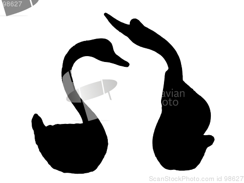 Image of swan's silhouette