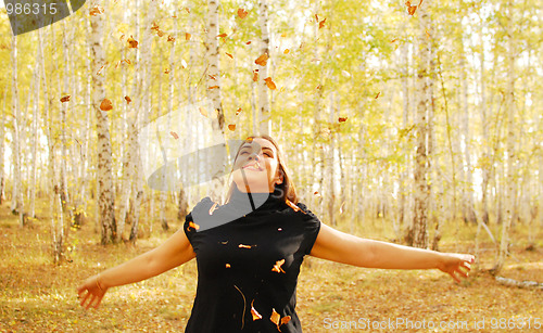 Image of autumn