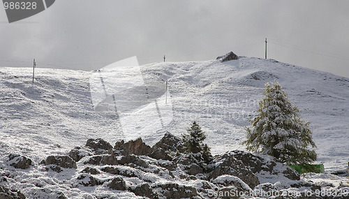 Image of Morning snowfall