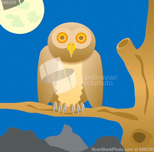 Image of Owl sits on tree in the night